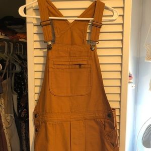 Burnt orange Patagonia overalls